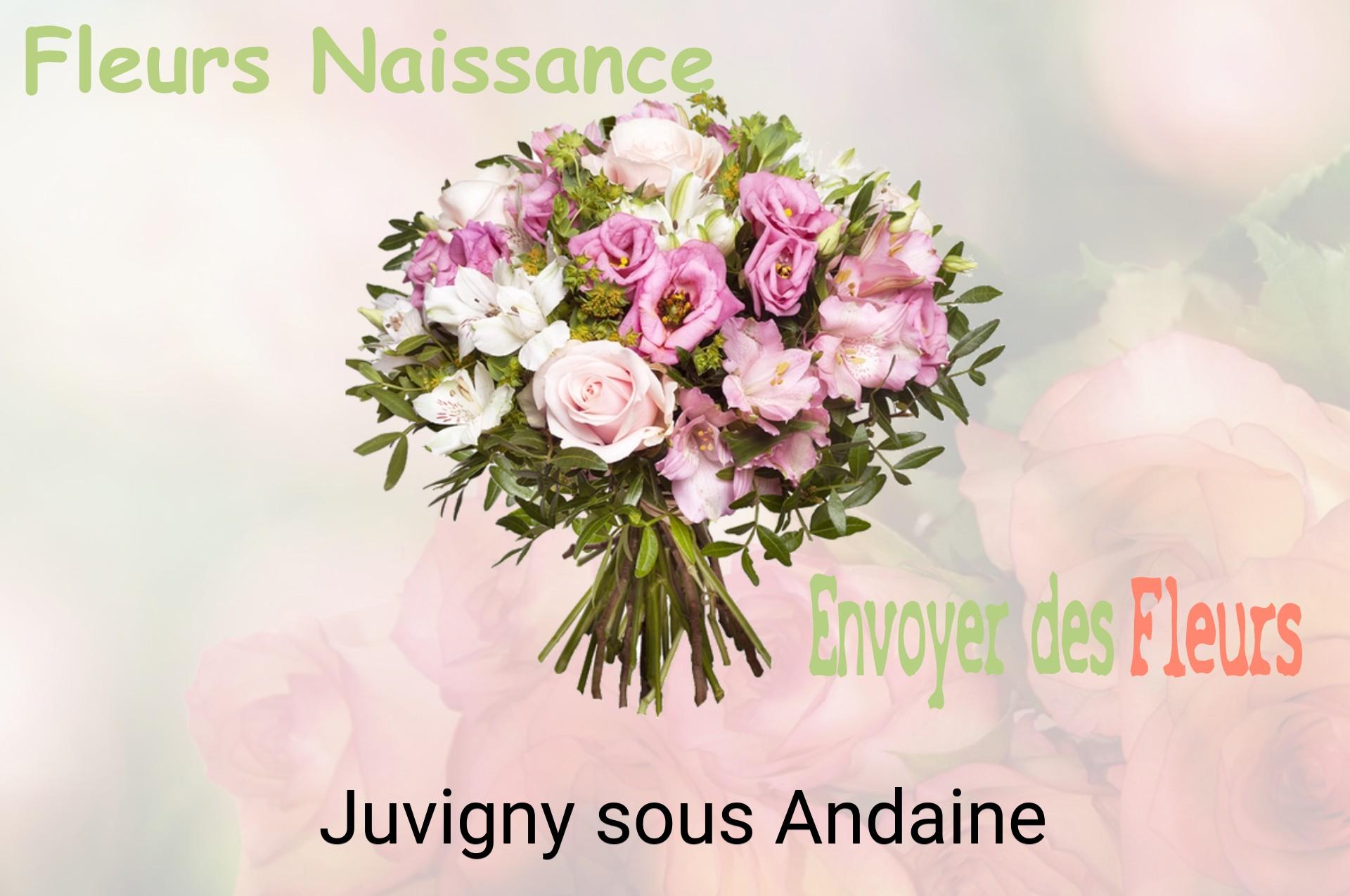 Bouquet de fleurs de naissance livré à Juvigny-sous-Andaine